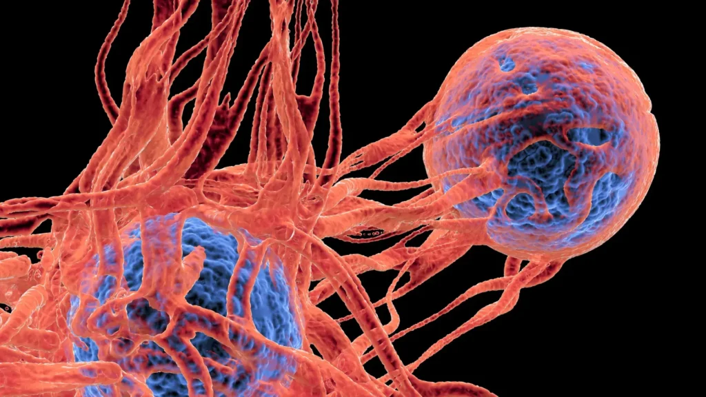 Día Mundial contra el Cáncer: Conciencia, prevención y esperanza | BS Health Group